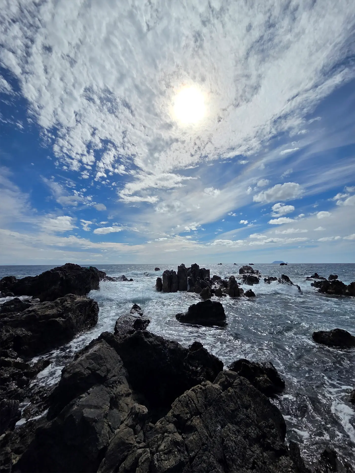 海