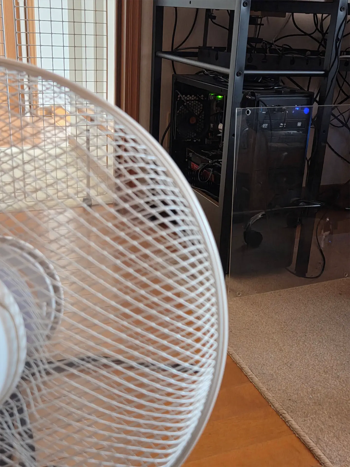 コンセントの都合上遠くから扇風機で風を送ってみたり※これは全く意味なかった